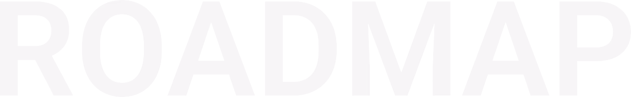 Digital Health Sans Borders Roadmap