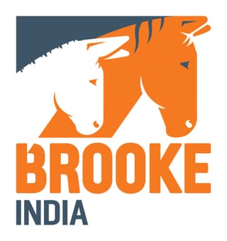Brooke India